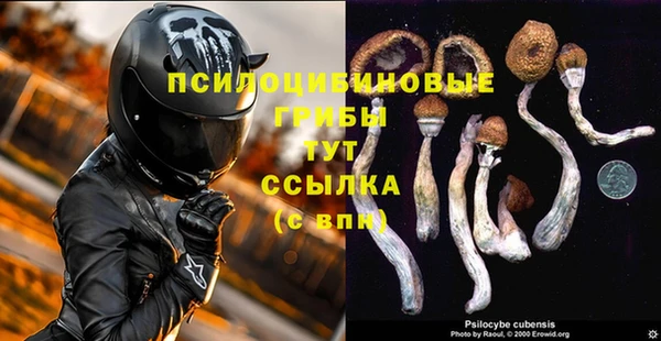 СК Белокуриха