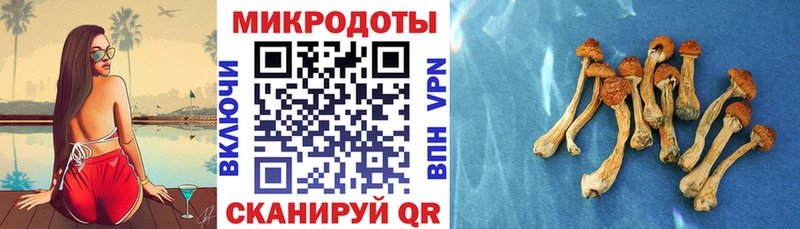 Галлюциногенные грибы Psilocybe  закладка  omg как войти  Миасс 